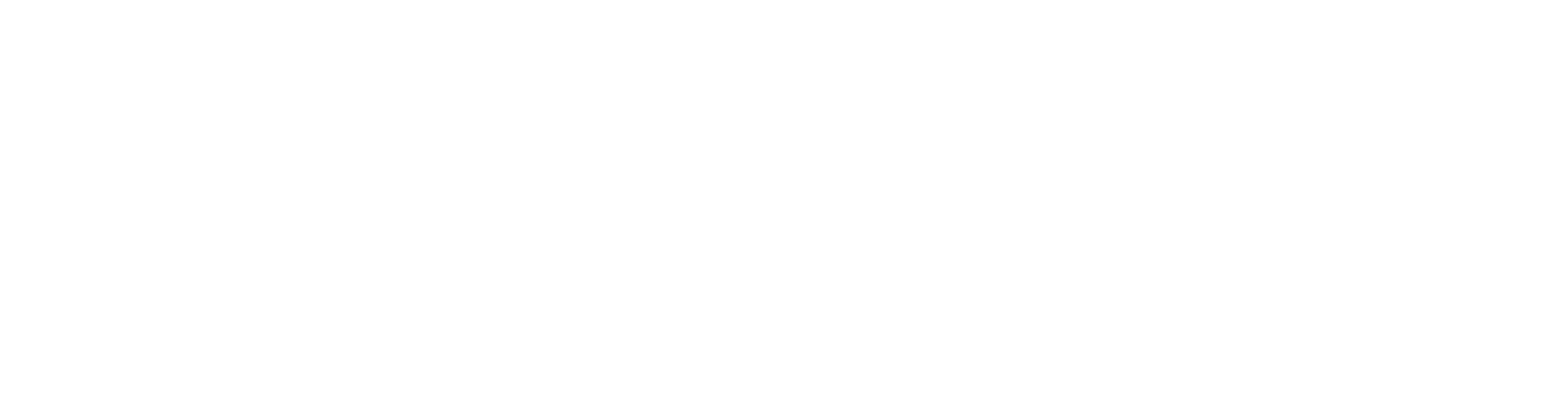 Eleventh Hour Consultant